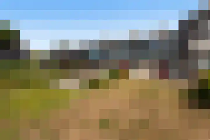 Numansgors 90 Numansdorp thumbnail 32