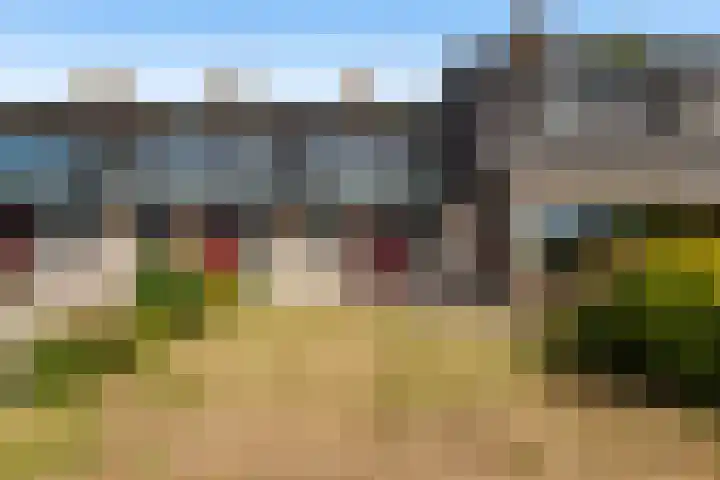 Numansgors 90 Numansdorp thumbnail 33