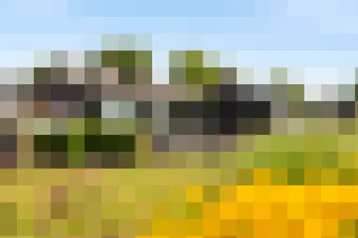 Numansgors 90 Numansdorp thumbnail 34