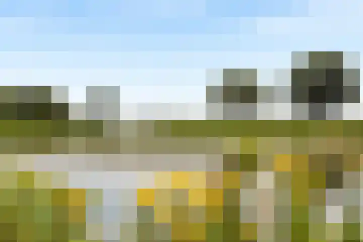 Numansgors 90 Numansdorp thumbnail 35