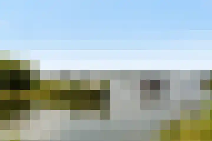 Numansgors 90 Numansdorp thumbnail 36
