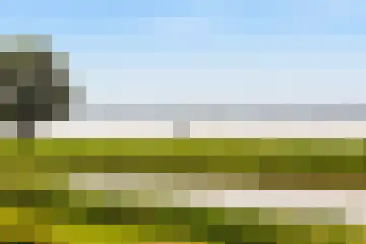Numansgors 90 Numansdorp thumbnail 37
