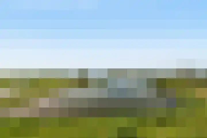 Numansgors 90 Numansdorp thumbnail 39