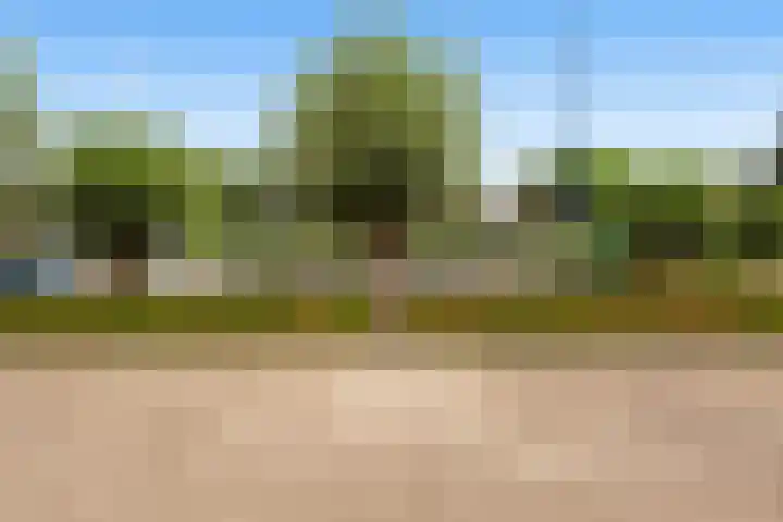 Numansgors 90 Numansdorp thumbnail 40