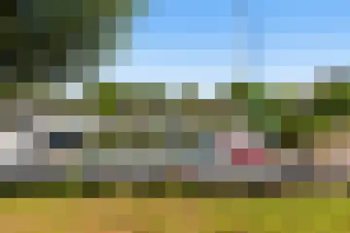 Numansgors 90 Numansdorp thumbnail 41