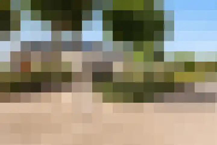 Numansgors 90 Numansdorp thumbnail 42