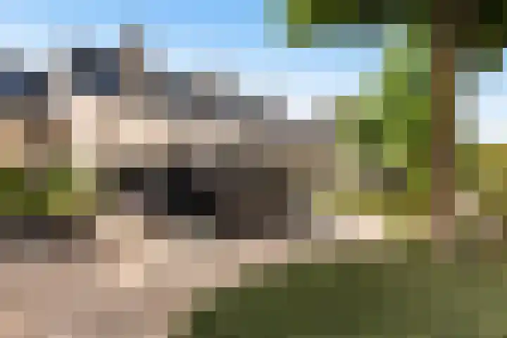 Numansgors 90 Numansdorp thumbnail 43