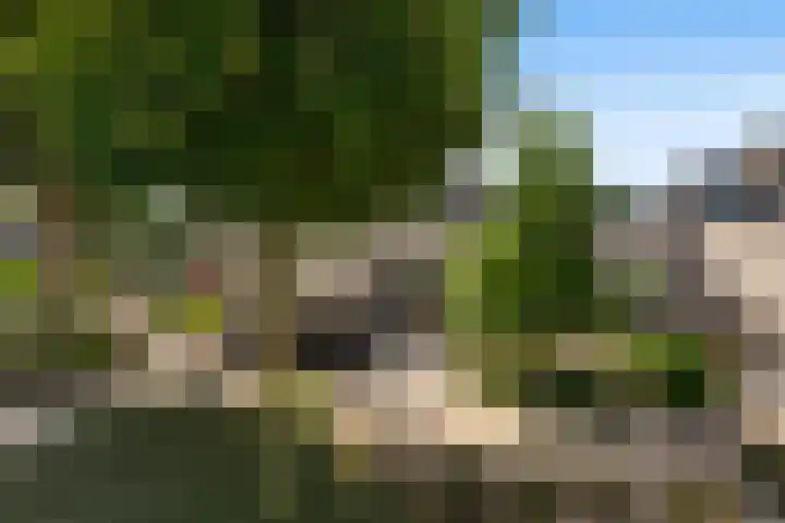 Numansgors 90 Numansdorp thumbnail 45