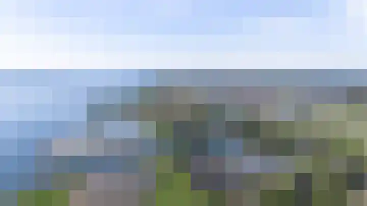 Numansgors 90 Numansdorp thumbnail 46