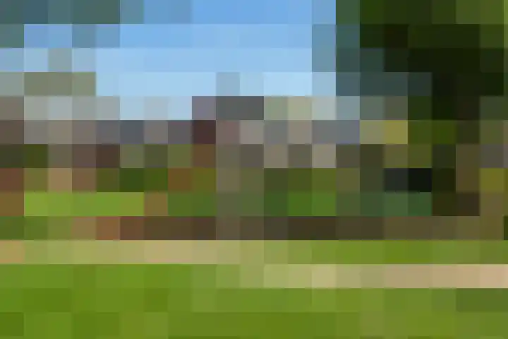 Numansgors 90 Numansdorp thumbnail 49