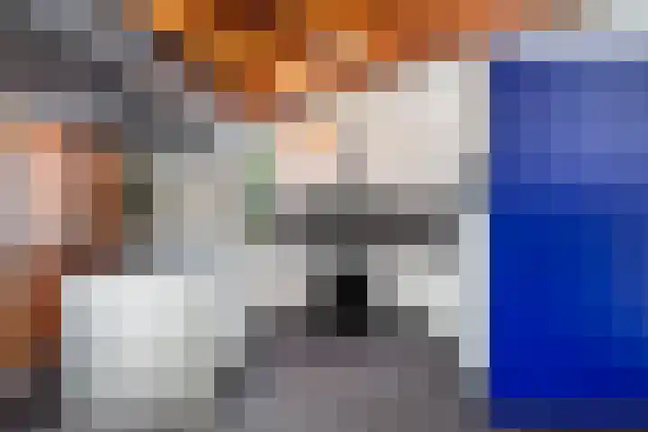 Numansgors 90 Numansdorp thumbnail 5