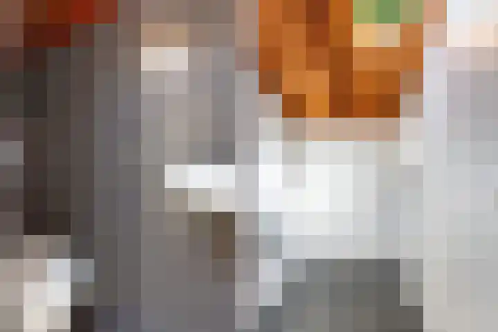Numansgors 90 Numansdorp thumbnail 8