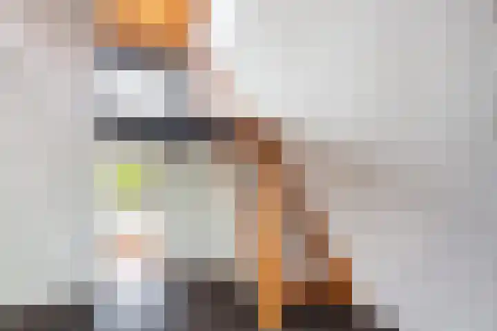 Numansgors 90 Numansdorp thumbnail 9