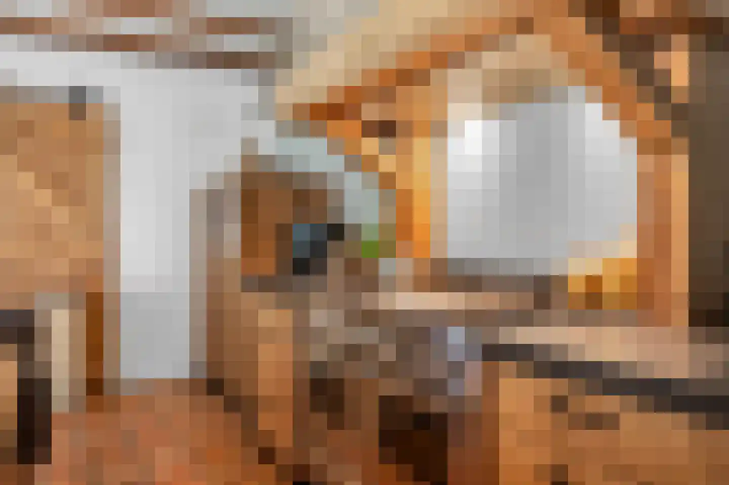 Numero Dertien 12 Veendam thumbnail 11