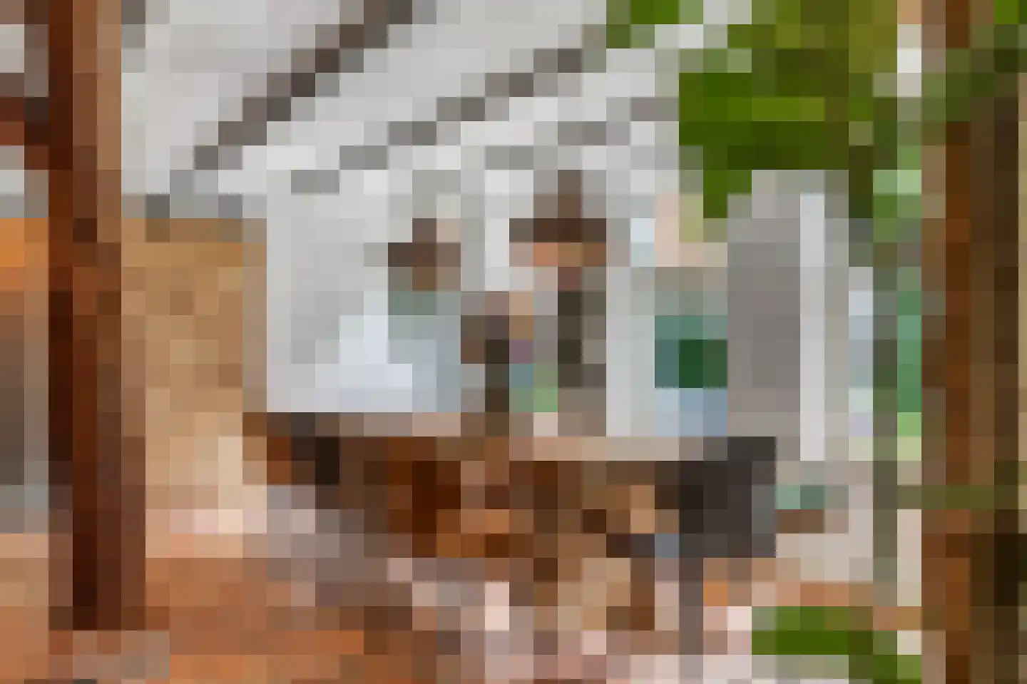 Numero Dertien 12 Veendam thumbnail 16