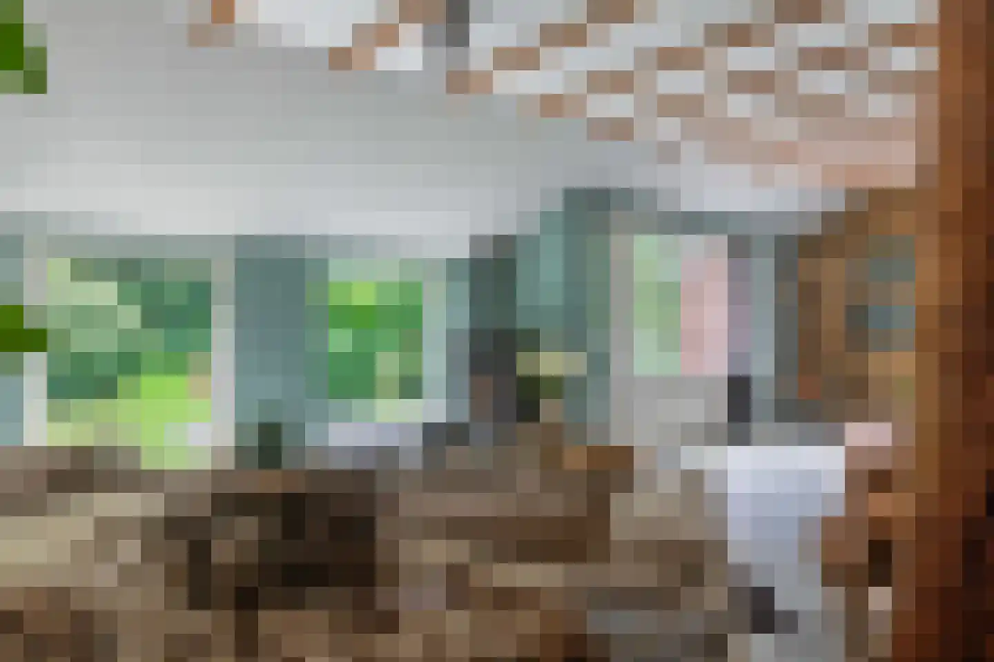 Numero Dertien 12 Veendam thumbnail 19
