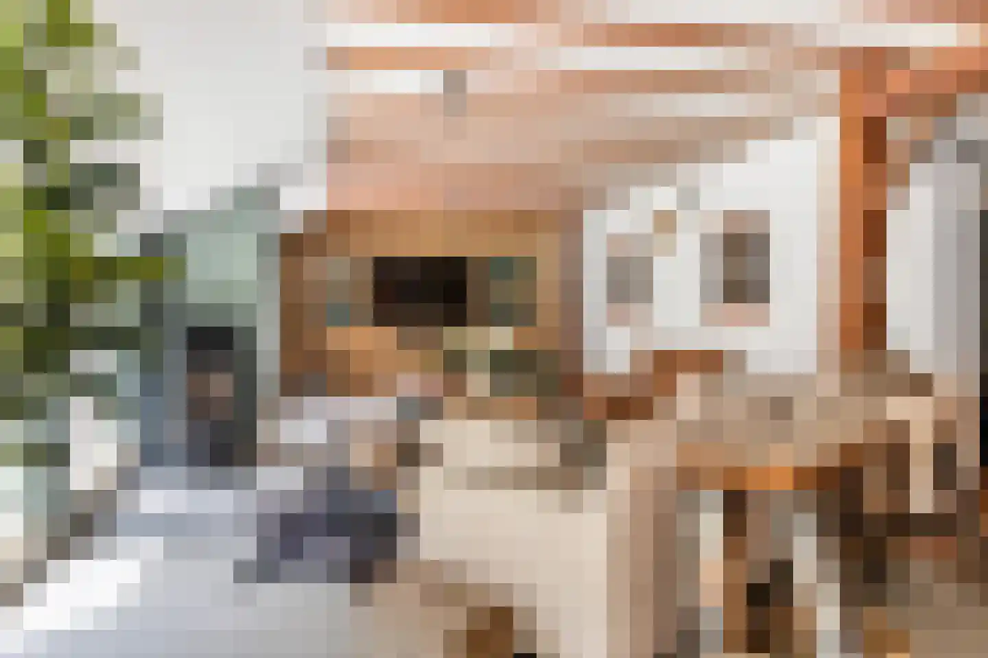 Numero Dertien 12 Veendam thumbnail 20