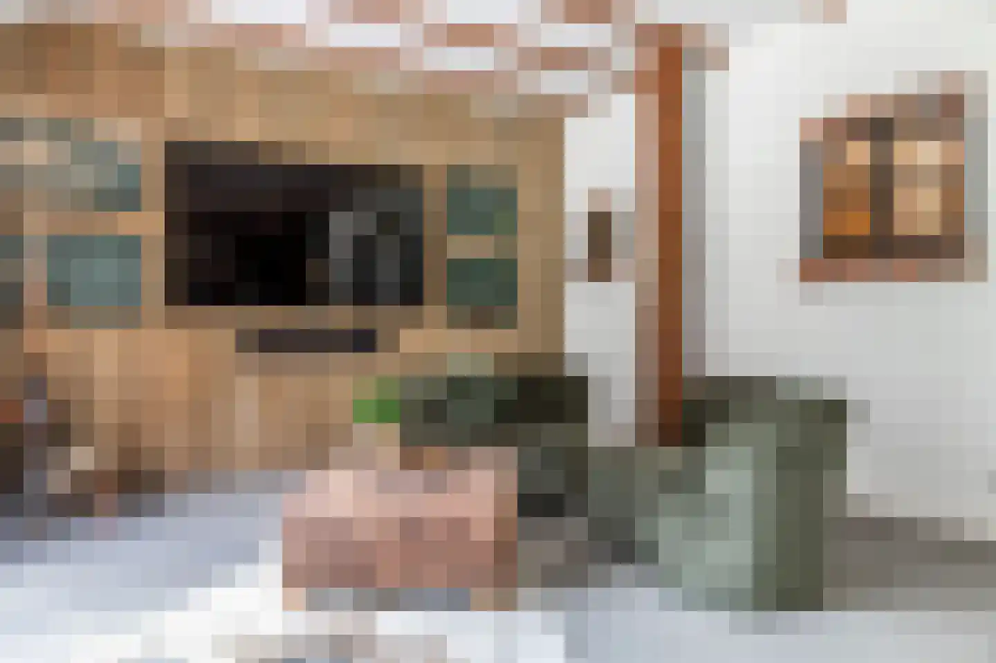 Numero Dertien 12 Veendam thumbnail 22