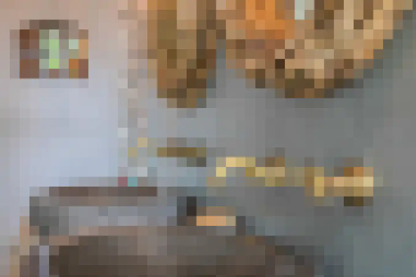 Numero Dertien 12 Veendam thumbnail 29
