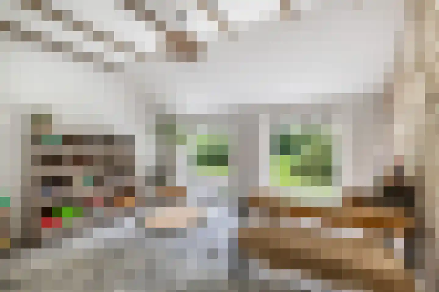 Numero Dertien 12 Veendam thumbnail 40