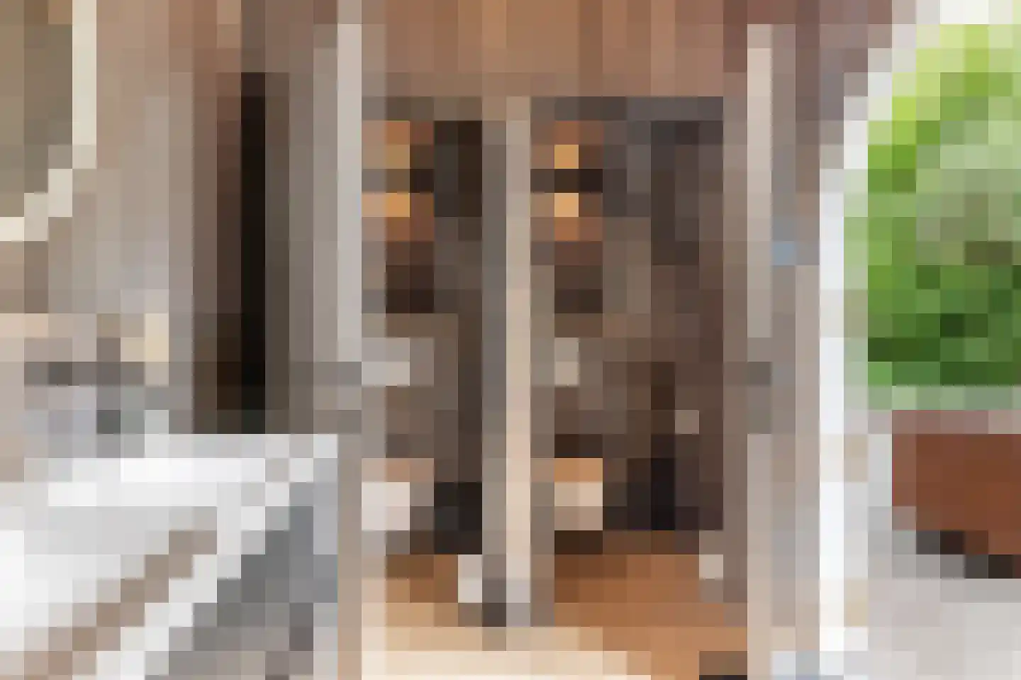 Numero Dertien 12 Veendam thumbnail 59