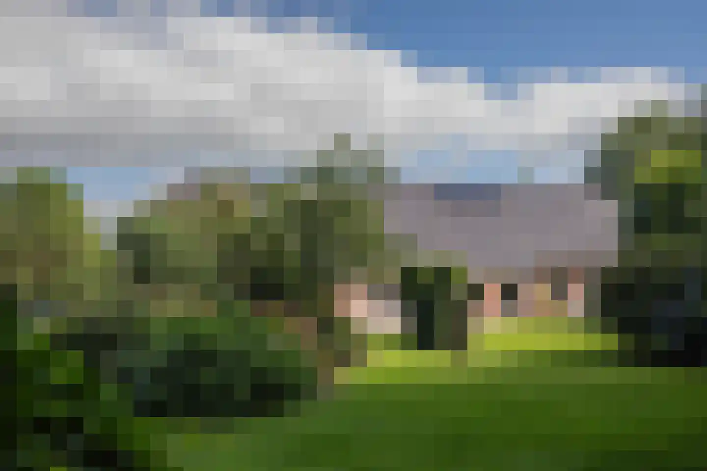 Numero Dertien 12 Veendam thumbnail 80
