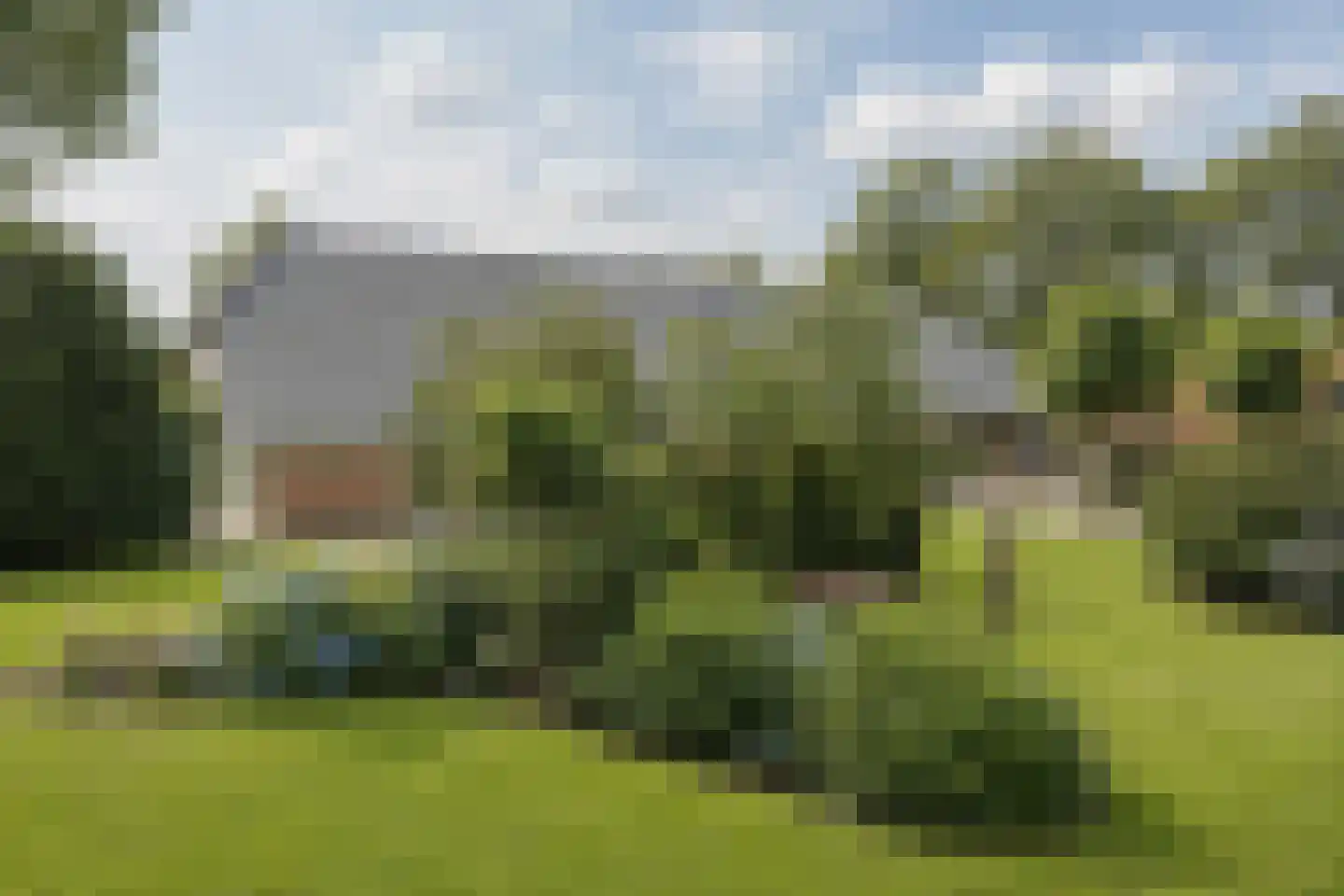 Numero Dertien 12 Veendam thumbnail 81