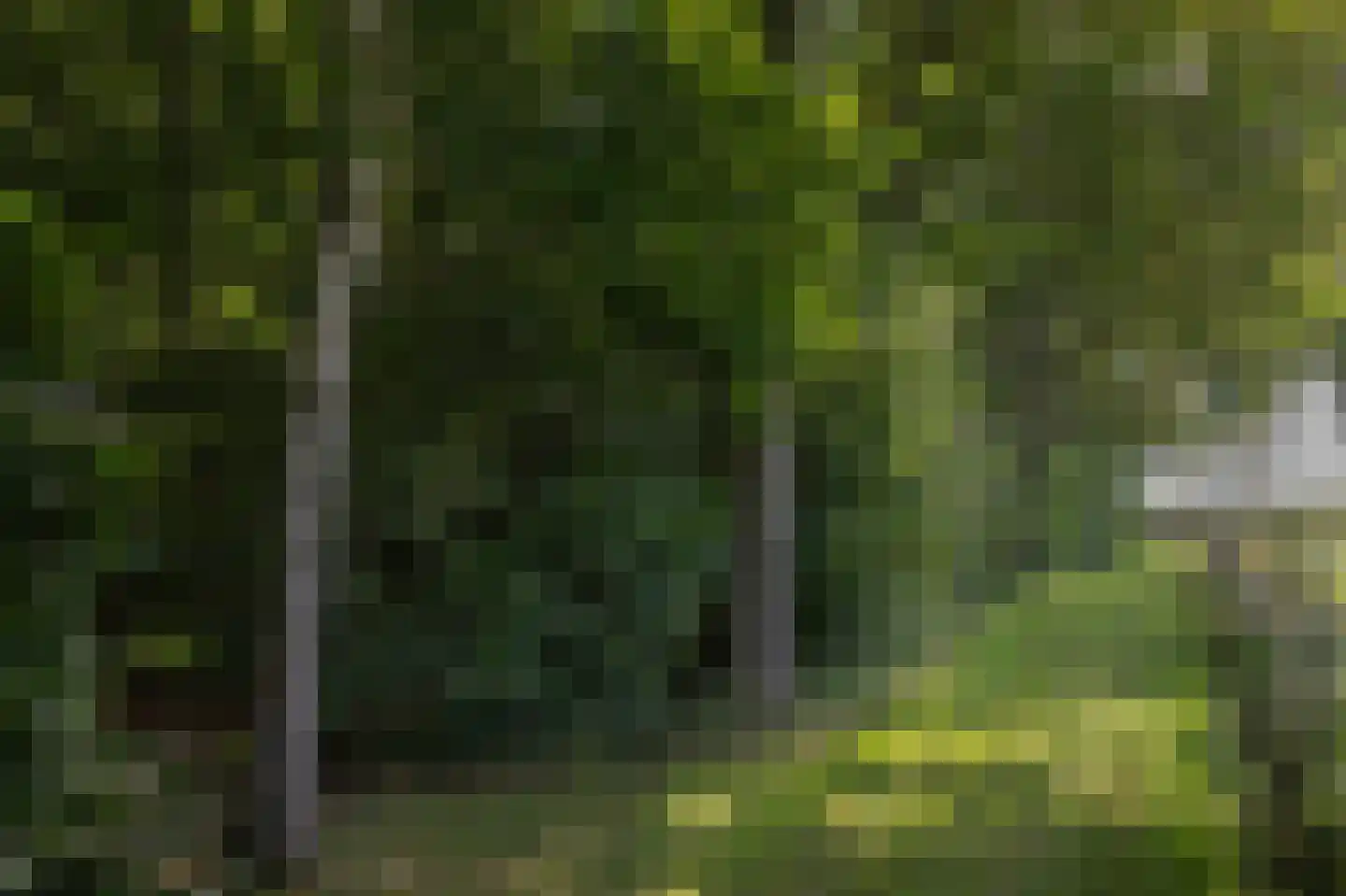 Numero Dertien 12 Veendam thumbnail 85