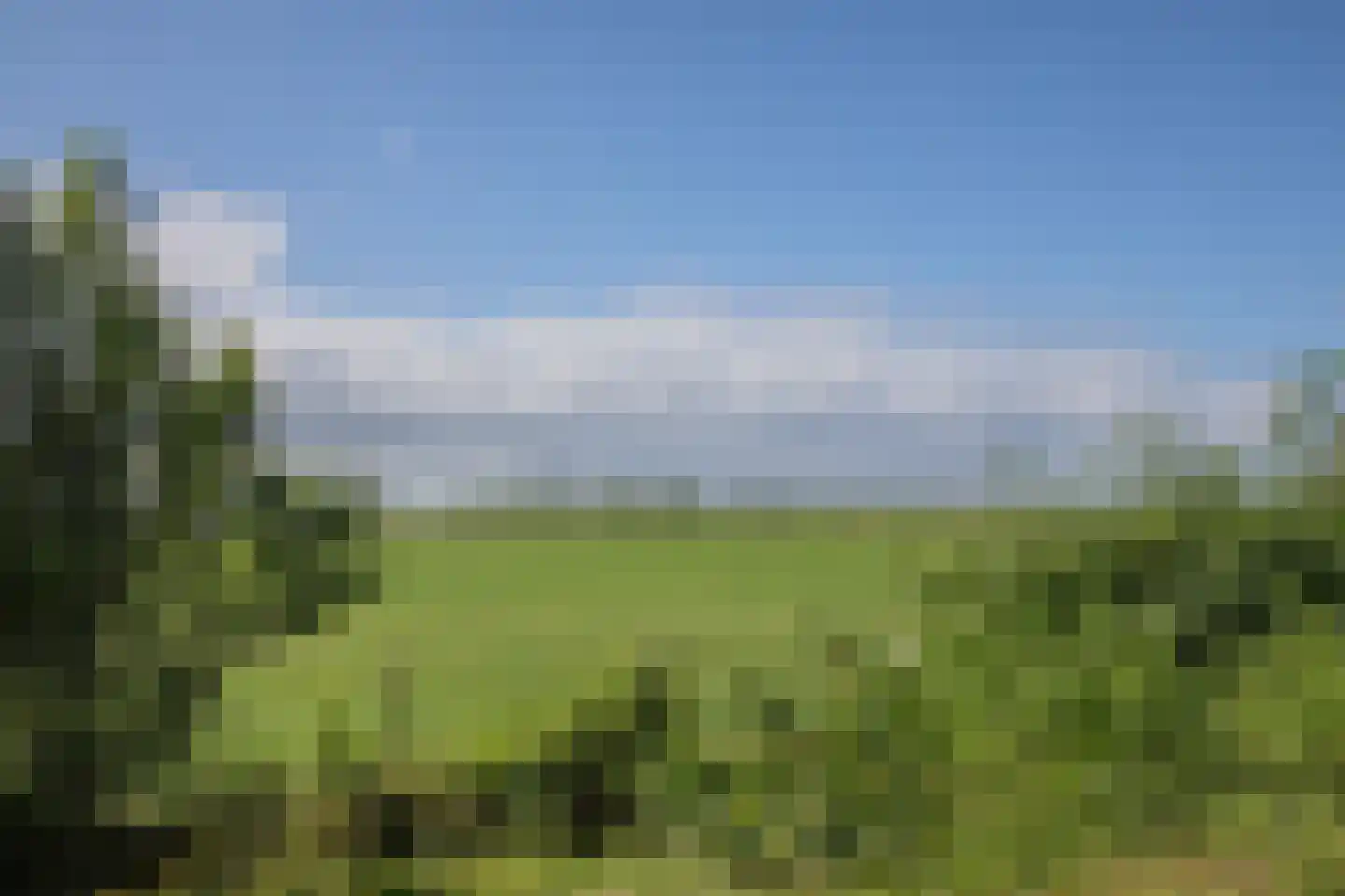 Numero Dertien 12 Veendam thumbnail 86
