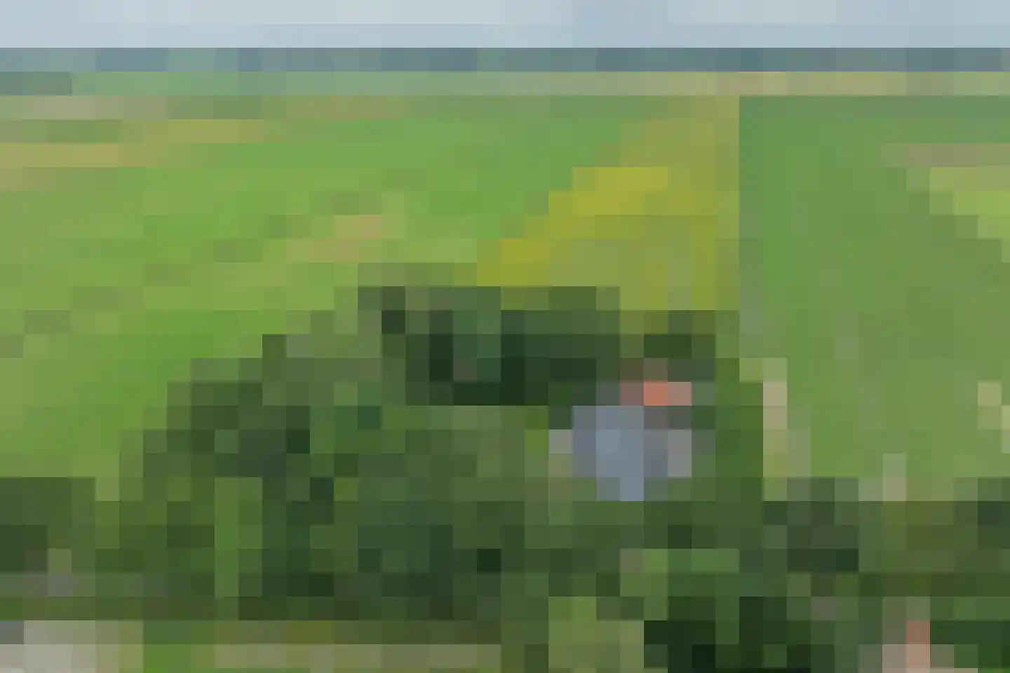 Numero Dertien 12 Veendam thumbnail 91