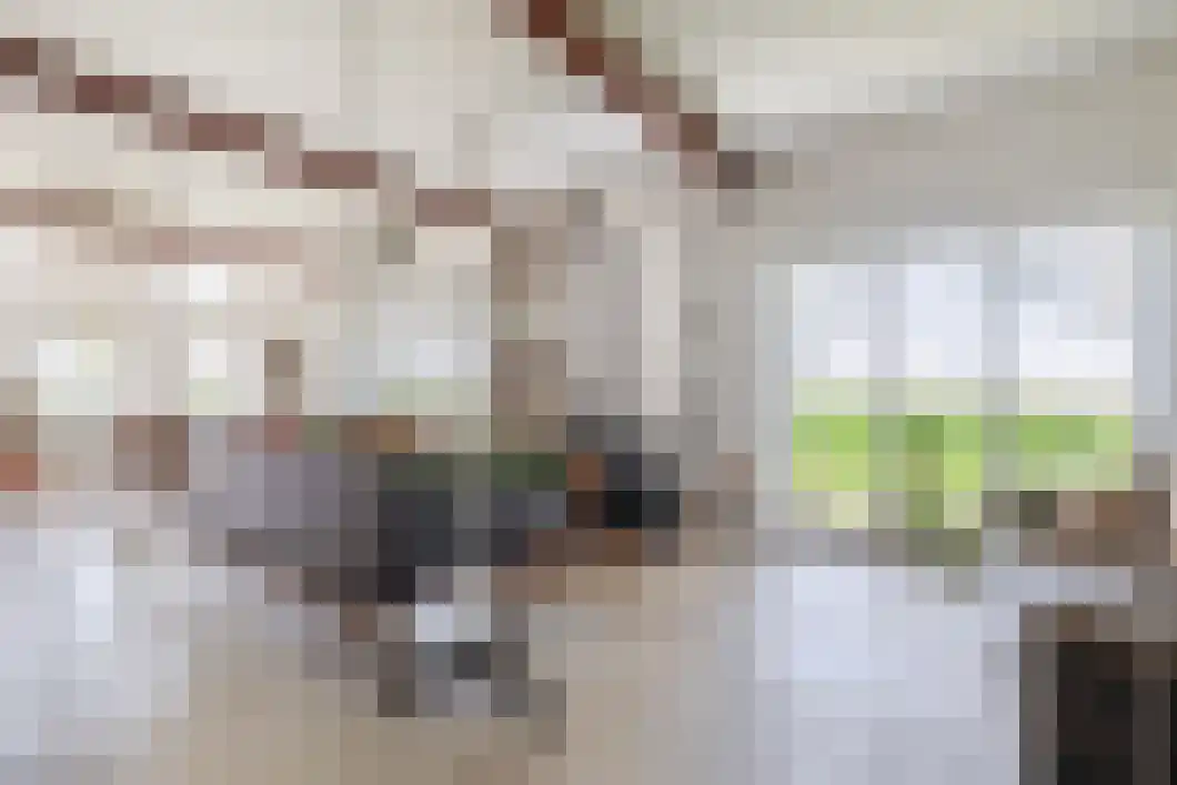 Numero Dertien 8 Veendam thumbnail 17
