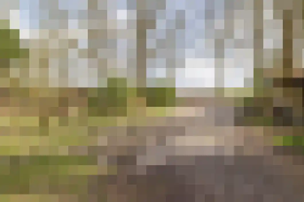 Numero Dertien 8 Veendam thumbnail 34
