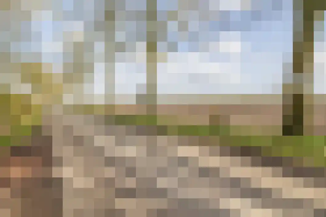 Numero Dertien 8 Veendam thumbnail 35