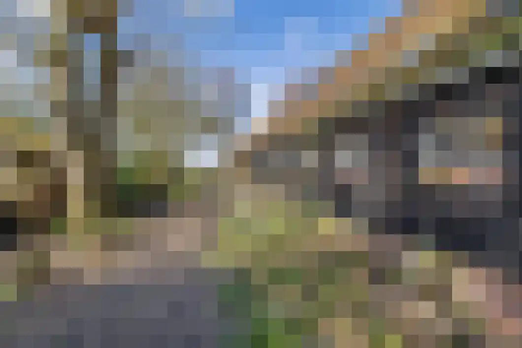 Numero Dertien 8 Veendam thumbnail 37