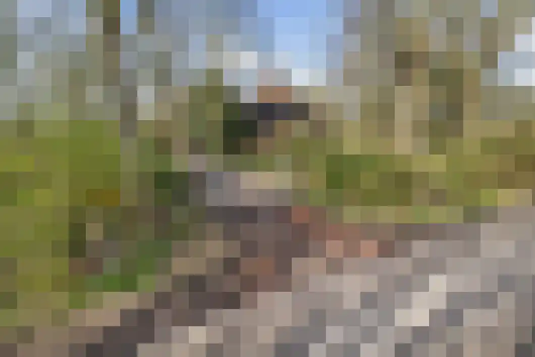Numero Dertien 8 Veendam thumbnail 6