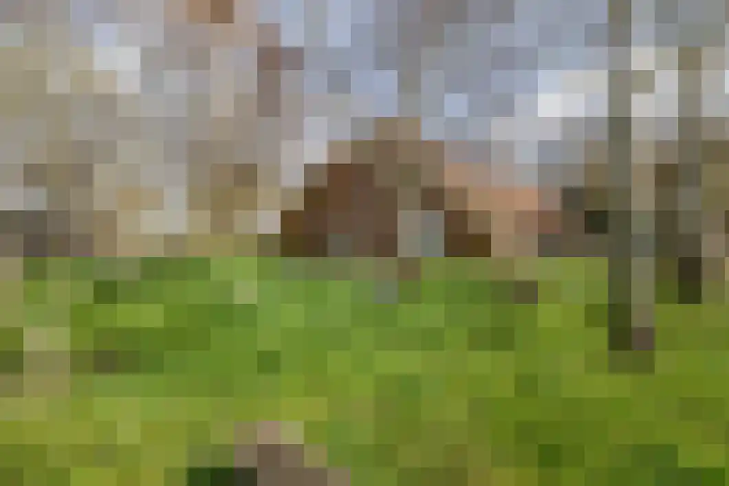 Numero Dertien 8 Veendam thumbnail 61