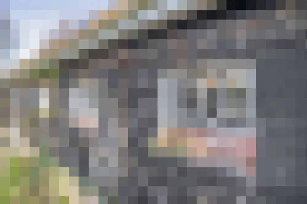 Numero Dertien 8 Veendam thumbnail 62
