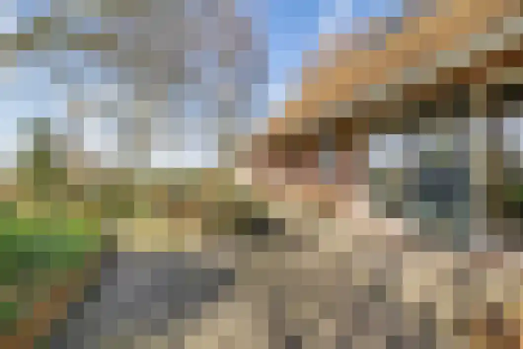 Numero Dertien 8 Veendam thumbnail 63