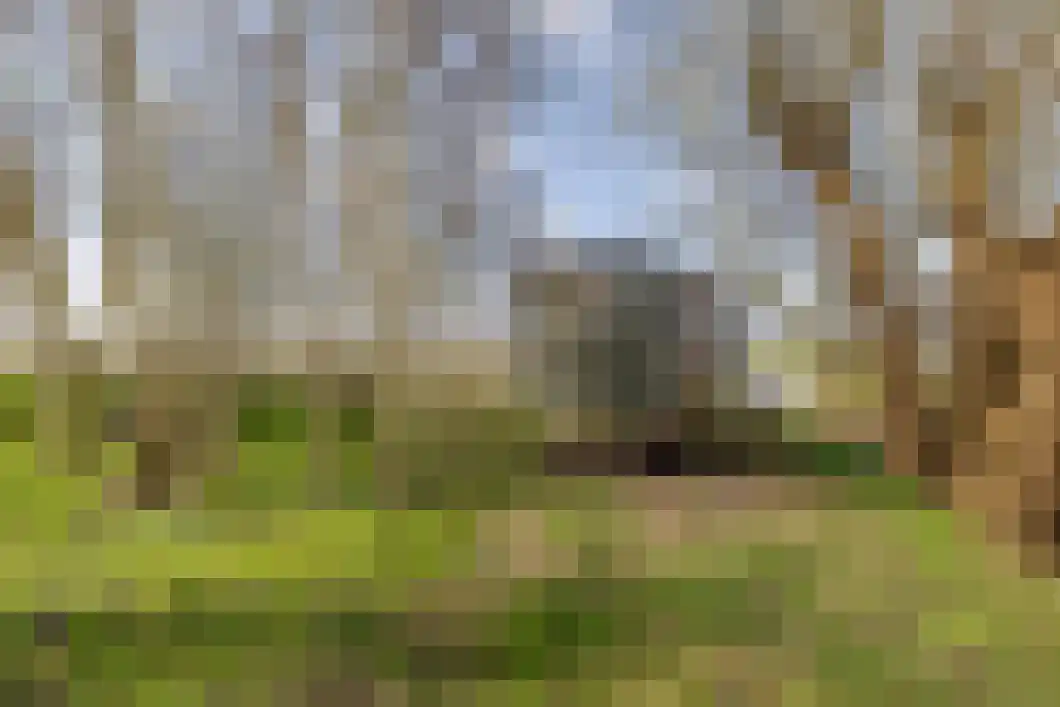 Numero Dertien 8 Veendam thumbnail 65
