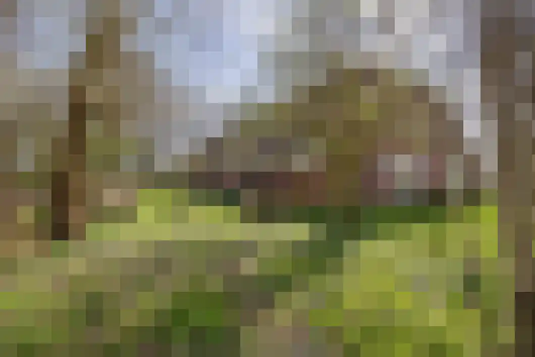 Numero Dertien 8 Veendam thumbnail 68