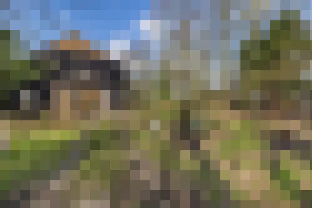 Numero Dertien 8 Veendam thumbnail 7
