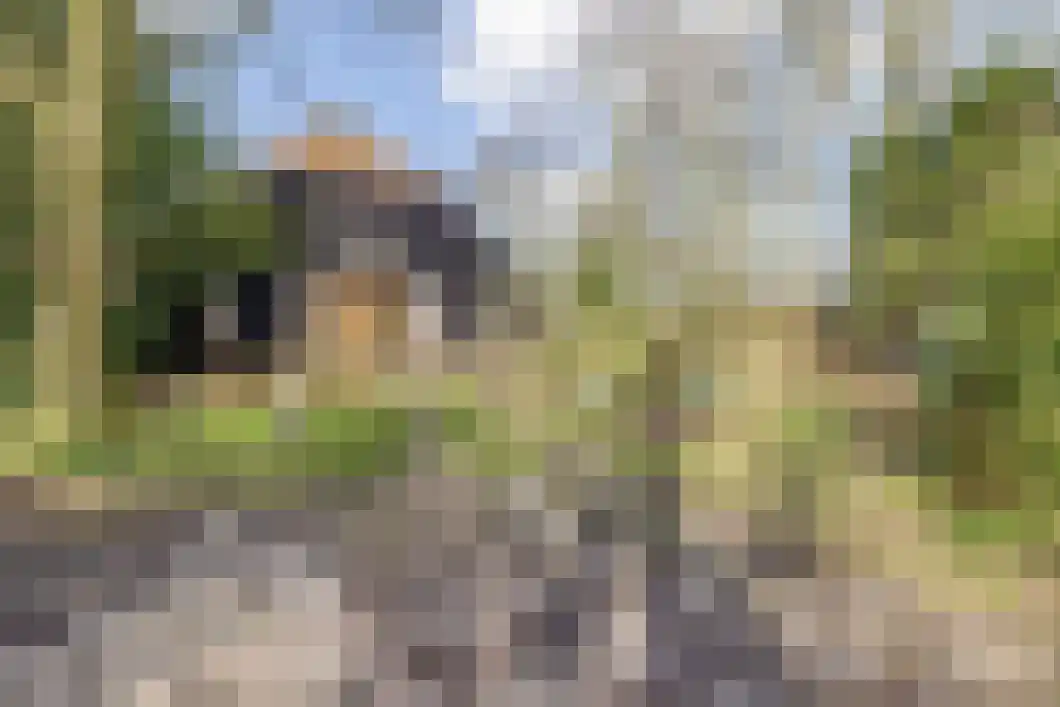 Numero Dertien 8 Veendam thumbnail 82