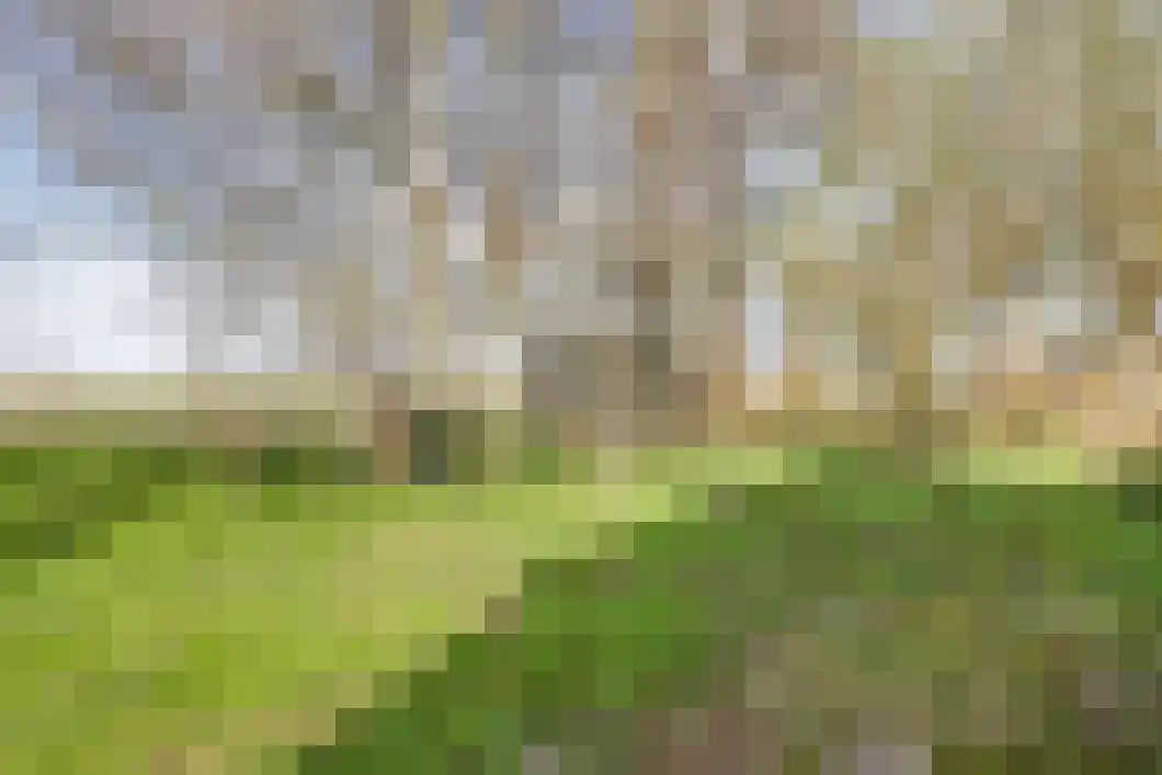 Numero Dertien 8 Veendam thumbnail 85