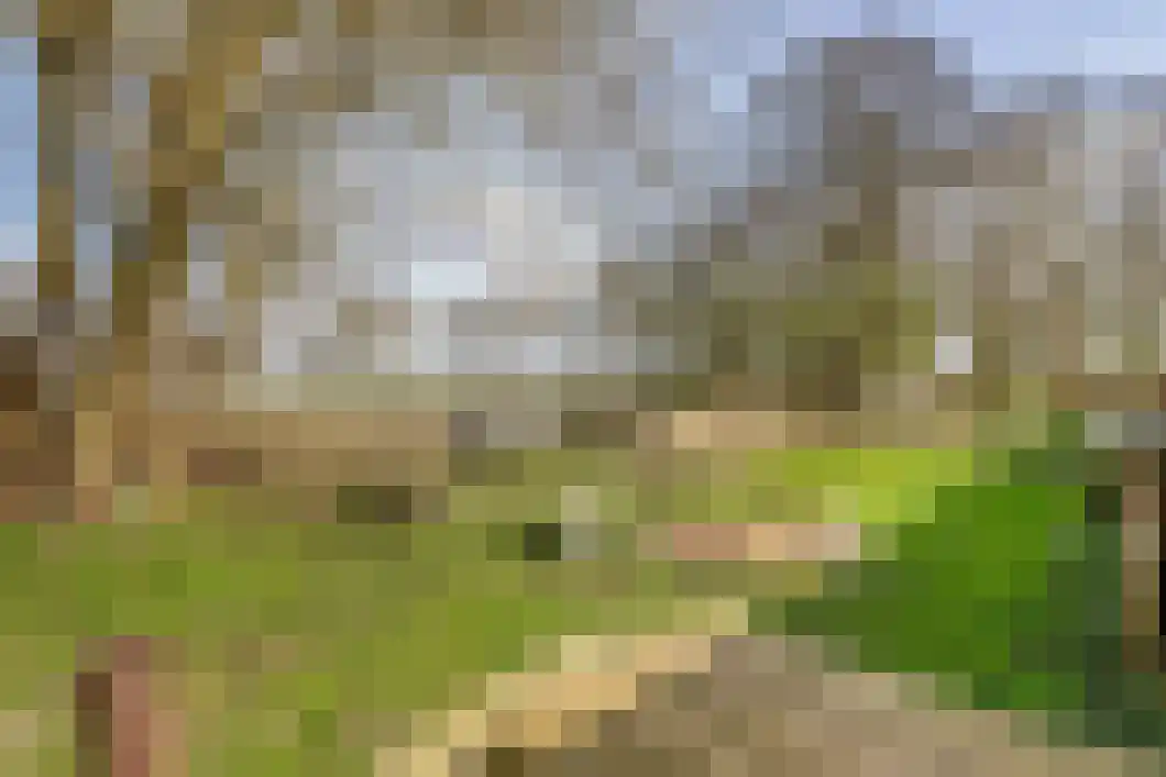 Numero Dertien 8 Veendam thumbnail 87