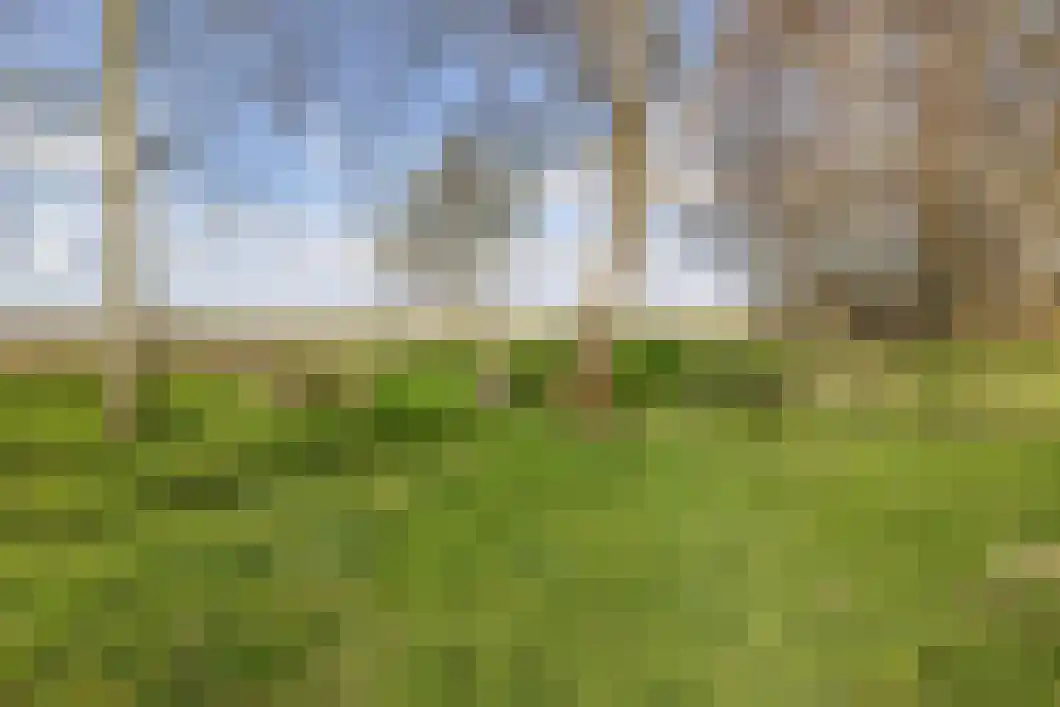 Numero Dertien 8 Veendam thumbnail 88