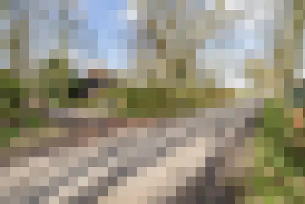 Numero Dertien 8 Veendam thumbnail 89