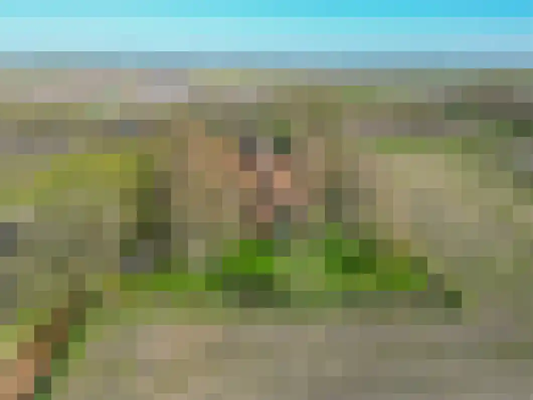 Numero Dertien 8 Veendam thumbnail 91
