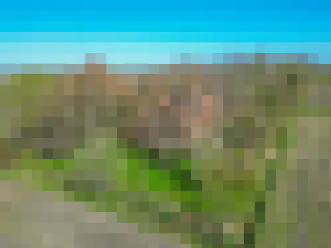 Numero Dertien 8 Veendam thumbnail 92