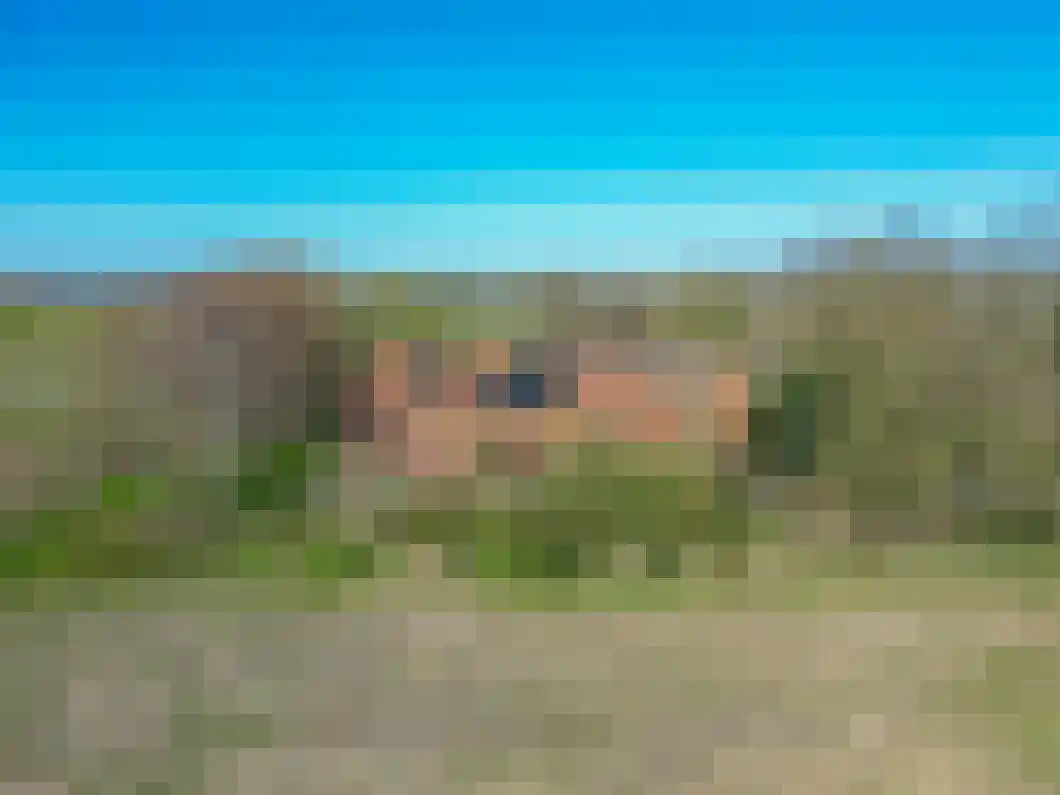 Numero Dertien 8 Veendam thumbnail 93
