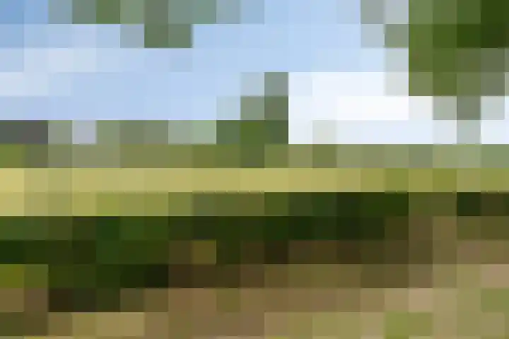 Numitorhof 52 Maastricht thumbnail 33